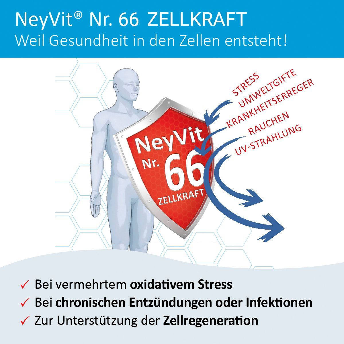 NeyVit Nr. 66 Zellkraft magensaftresistent Tabletten 60 St