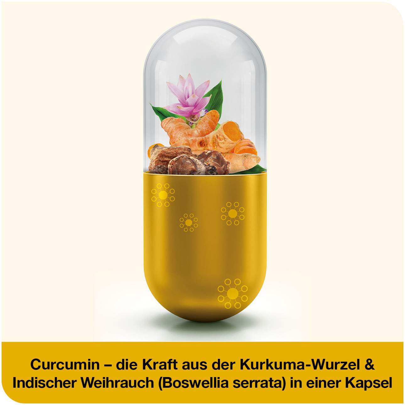 curcumin-Loges plus Boswellia 120 St