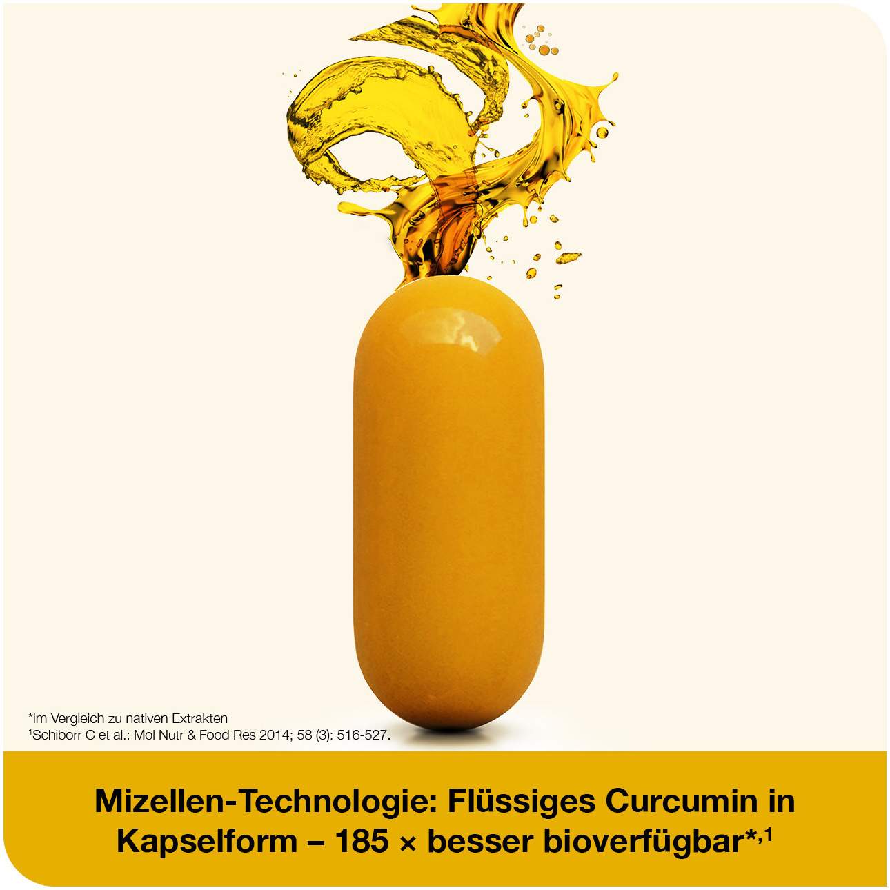 curcumin-Loges plus Boswellia 120 St