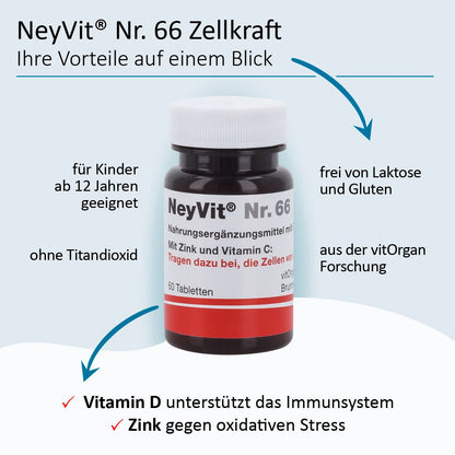 NeyVit Nr. 66 Zellkraft magensaftresistent Tabletten 60 St