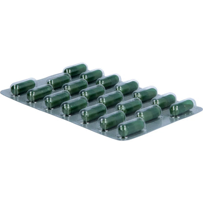 immunLoges 120 St