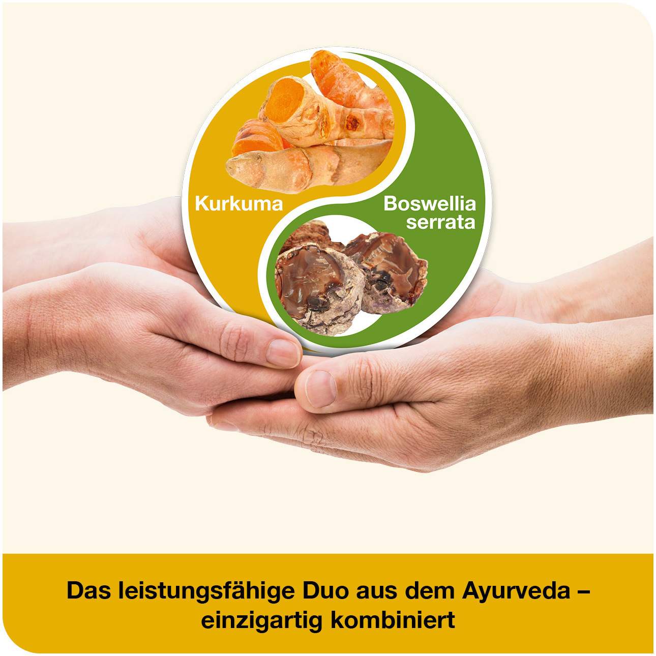 curcumin-Loges plus Boswellia 120 St