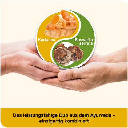 curcumin-Loges plus Boswellia 120 St