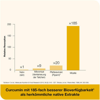 curcumin-Loges plus Boswellia 120 St